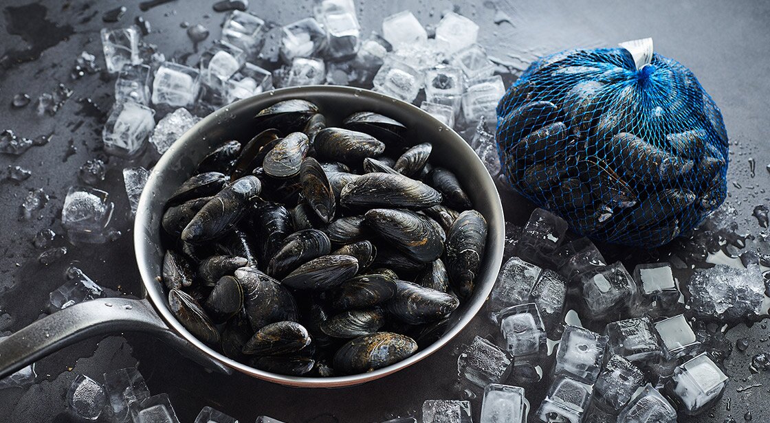 Blue mussels on ice