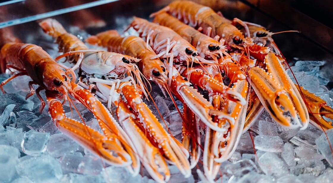 Norway lobster on ice