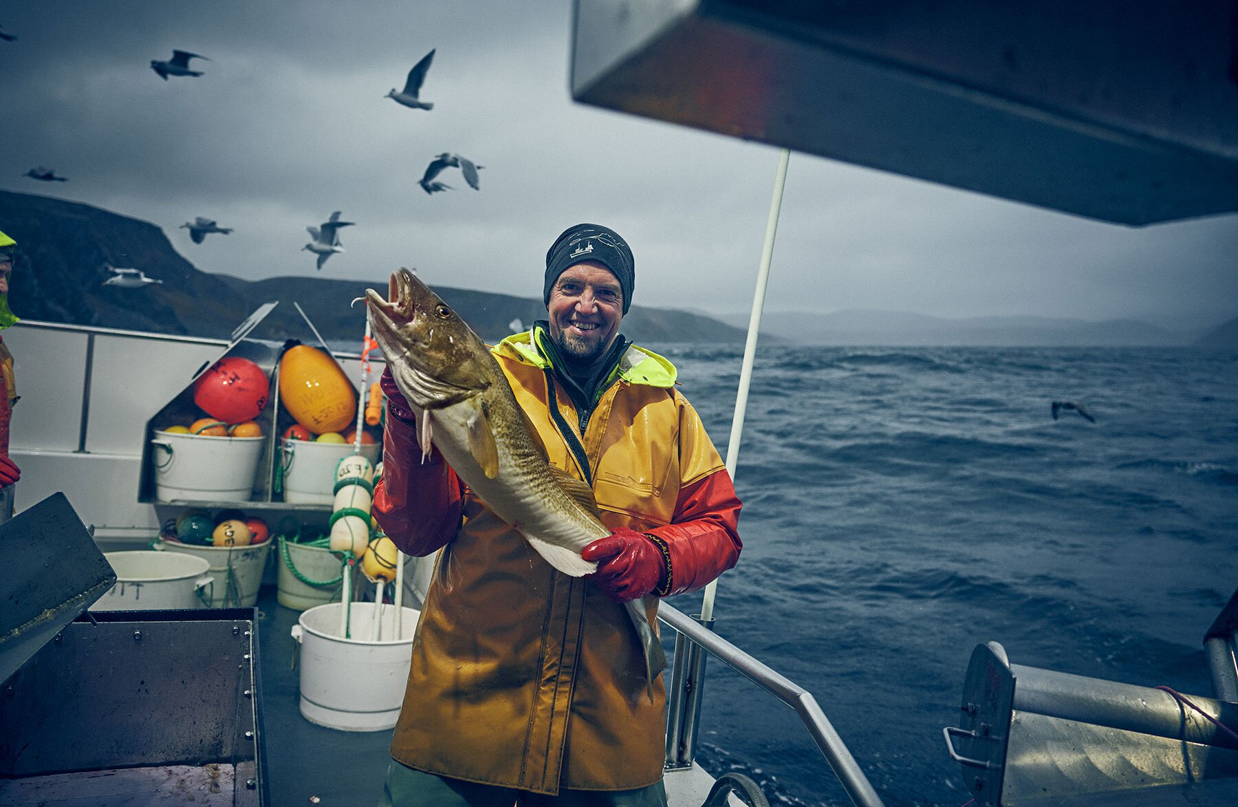Fisherman at sea holding Norwegian cod